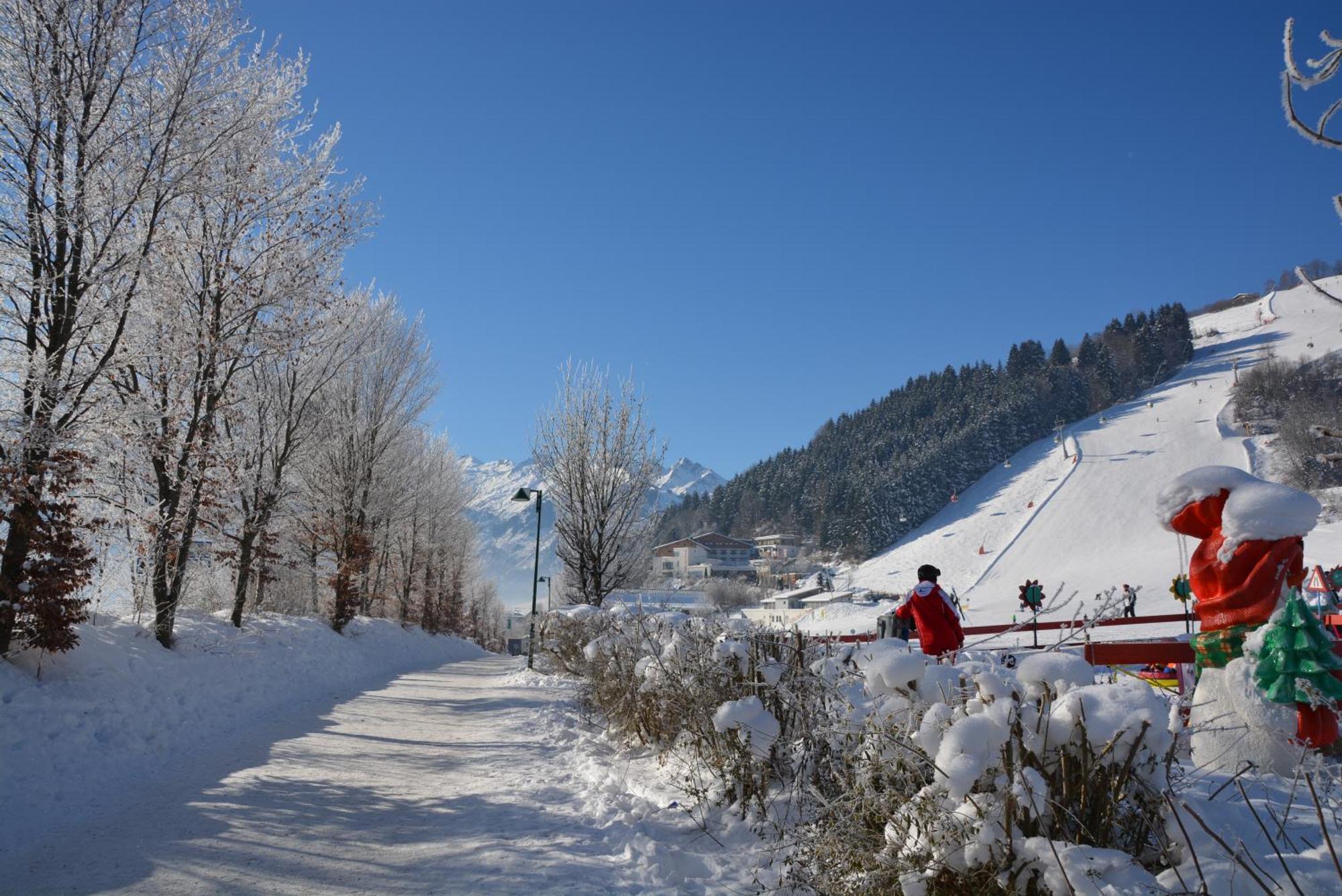 Apartment Mountain Panorama By Z-K-H Rentals Zell am See Ngoại thất bức ảnh